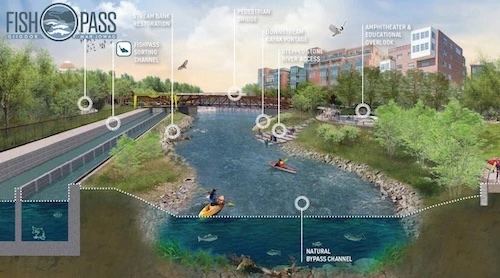 Smart panel offering potential solution to invasive sea lamprey control 